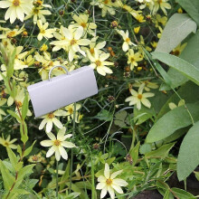 Pacote com 25 etiquetas metálicas para plantas, placas de identificação para vasos de flores de jardim, etiquetas impermeávei