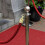 6pcs Rope End Stopper with Lobster Claw Clasps - Barrier Caps for Crowd Control &amp; Queue Divider 3