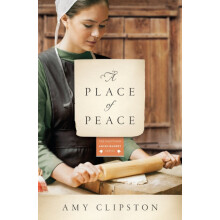A Place of Peace by Amy Clipston Paperback Book