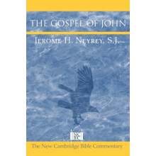 The Gospel of John by Jerome H. Neyrey Paperback Book