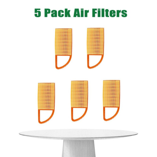 4282 141 0300 Air Filter Replacement for  BR500 BR550 BR600 Backpack Blowers - 5 Pack