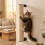 2PCS Cat Climbing Pole Bracket Wall Mount Kitten Scratcher Support Cat Climbing Tower, Wall Shelves Accessories 6