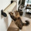 2PCS Cat Climbing Pole Bracket Wall Mount Kitten Scratcher Support Cat Climbing Tower, Wall Shelves Accessories 7
