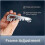 3PCS Eyeglass Frame Adjustment Tool, Eyeglass Glasses Frame Nose Pad Adjustment Tool, Eyeglass Repair Tool 7
