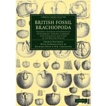 British Fossil Brachiopoda Volume 5 by Thomas Davidson Paperback Book