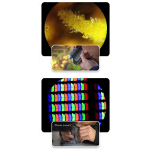 Microscope Portatif D'Extérieur 60-120X, Zoom, Lentille Optique Non Sphérique, Équipé de Lumières LED et UV A