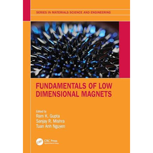 Fundamentals of Low Dimensional Magnets Paperback Book