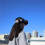 Graffiti Color Headband Fixed Strap for  FPV Flight Video Glasses V2 Colorful Accessories 6