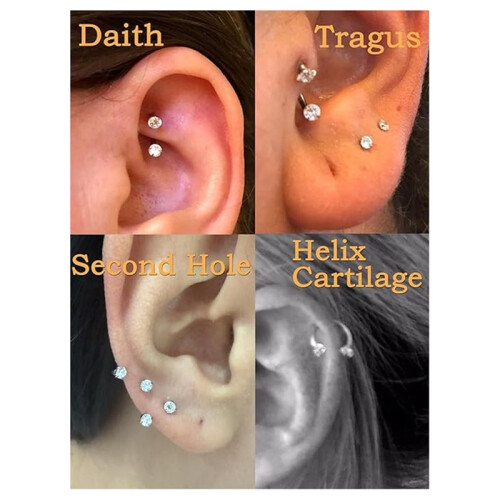 Horseshoe Nose  Silver Double Gem for Septum Cartilage Piercing 2