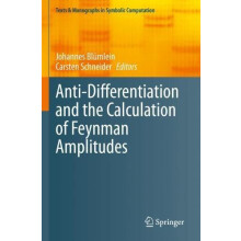 AntiDifferentiation and the Calculation of Feynman Amplitudes Paperbac