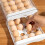 Egg Holder for Fridge,32 Grid/2 Layer Egg Holder,Egg Container for Refrigerator, Kitchen, Refrigerator, Countertop. 4