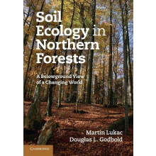 Soil Ecology in Northern Forests by Martin Lukac Paperback Book