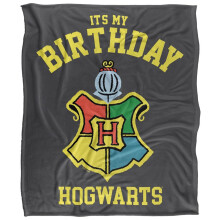 (147cm x 91cm, Grey/Multicoloured) Harry Potter It's My Birthday Hogwarts Crest Blanket