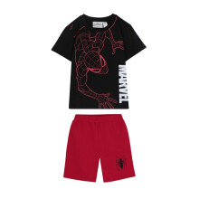 (5-6 Years, Red/Black) Marvel Childrens/Kids Spider-Man Top & Bottom Set