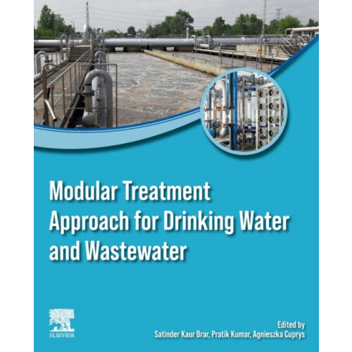 Modular Treatment Approach for Drinking Water and Wastewater Paperback
