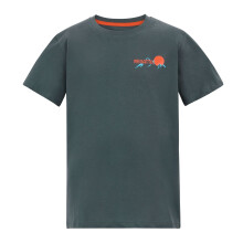 (7-8 Years, Dark Storm) Regatta Childrens/Kids Bosley Mountain Scene Back Print T-Shirt