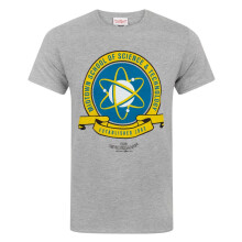 (2XL, Grey) Spider-Man Mens Homecoming Midtown School T-Shirt