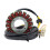 Bobina Statore 4010911 per  Ranger 700 XP 2005 e Sportsman 800 IntL 2007 5