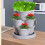 Vertical Gardening Stackable Flower Pots, for Strawberries, Flowers, Vegetable,Three-Dimensional Flower Pots(5PCS)Green 4