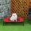 Raised Dog Bed – Elevated Pet Bed, Black & Red 2