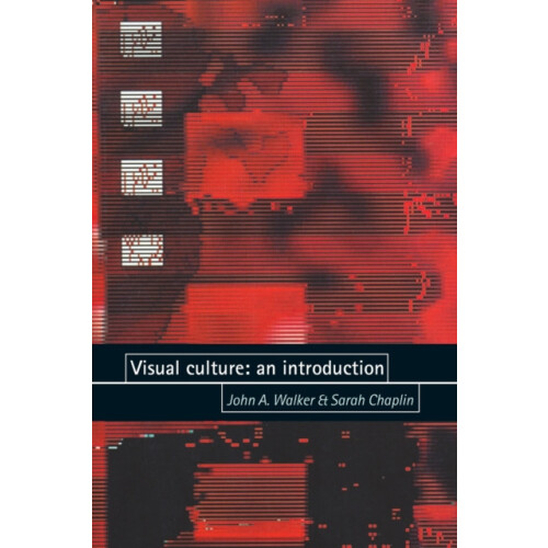 Visual culture An introduction by John Walker Paperback Book