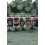 Extractive Industries and Ape Conservation Paperback Book 1