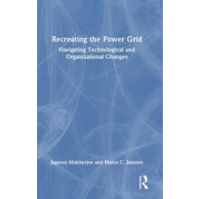 Recreating the Power Grid Navigating Technological and Organizational