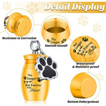 4 Pack Pet Urns Keychain Pet Urns for Dogs Ashes Keepsake Stainless Steel Small Pet Urns for Dogs Cat Ashes