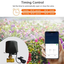 Válvula de Retención de Agua y Gases WiFi Tuya 3.0, DN15, Interruptor Inalámbrico con Temporizador, Compatible con Alexa y Home (EE. UU.)