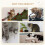 Three-Piece Wall-Mounted Cat Shelves, with Hammock, Ladder, Platforms, Scratching Post - Grey 8