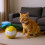 USB Rechargeable LED Laser  Cat Toy with Auto Obstacle Avoidance, Motion Sensor, One-Touch Start, Self- Design 2