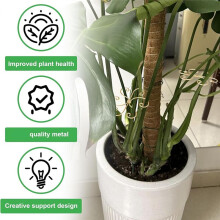 6pcs Plant Stem Support, Metal Monstera Plant Support, Plant Stem Holder Support Unique Design Bamboo Clamp Set