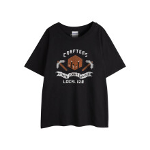 (7-8 Years, Black) Minecraft Boys Short-Sleeved T-Shirt