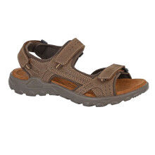 (7 UK, Brown) Roamers Mens Leather Flat Sports Sandals