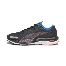 Zapatillas de running Puma Mens Velocity Nitro 2 Negro-Orquídea Fuego-Azul Ultra - 11 Uk (19533717)