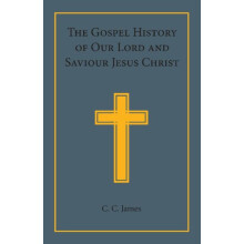 The Gospel History of Our Lord and Saviour Jesus Christ In a Connected