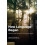 How Language Began by David McNeill Hardcover Book 1