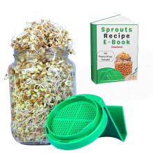 Groffy Sprout Maker - Bocal en Verre de 720 ml avec Couvercle en Maille pour Graines et Germes