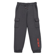 Jongens Relaxed Fit Geprinte Mid Rise Jogger Grijs
