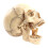 Medical-Skull Human Body Model Education Skull Model 1:2 for Student Teaching Study Assembling Model,Primary Color 4