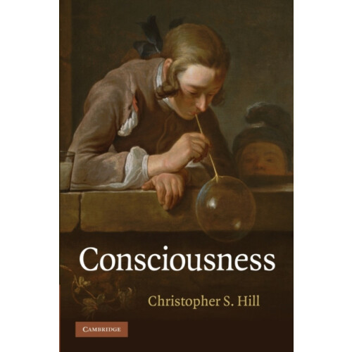 Consciousness by Christopher S. Hill Paperback Book