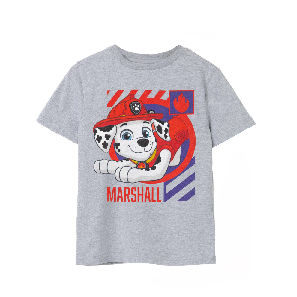 Paw Patrol (5-6 Years) Short Sleeved T-Shirt (Boys Grey)