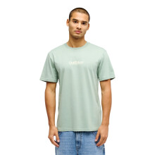 (L, Iceberg Green) Quiksilver Mens Fineline Crew Neck Short Sleeve T-Shirt