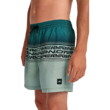 (XL, Green Heritage Stripe) O'Neill Mens Logo Stripe 16'' Swim Shorts