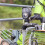 3X Dynamo Bike Light Front Light Set Input AC 6V 3W Dynamo Bicycle LED Headlight Bike Accessories 6