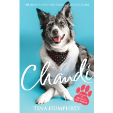 Chandi The Rescue Dog Who Stole a Nations Heart by Tina Humphrey Paper