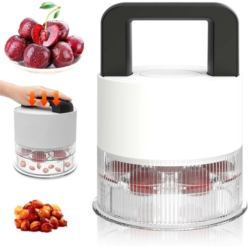 Pitter Multiple, Cherrys Pitter Corer Tool, Quick Portable  Pitting Tool, Easy to Use for Making  Jam