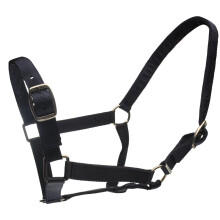 (Cob, Navy) Roma Horse Headcollar And Leadrope