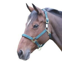 (Cob, Dark Green) Shires Topaz Nylon Horse Headcollar