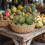 Realistic Coconuts Fruit Vegetable Model Photography Props Durable ABS Materials 2